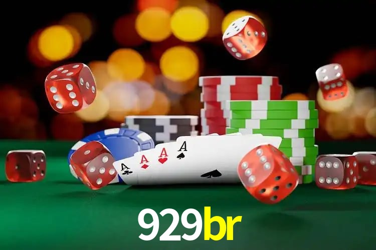 Experiência VIP 929br
