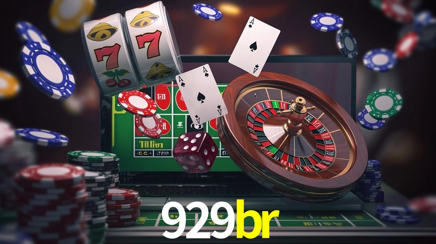 929br App Interface